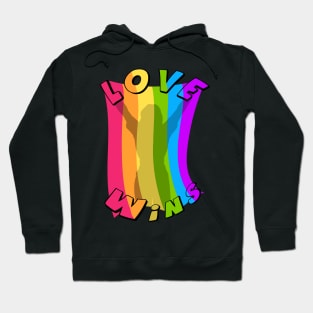 love wins for gay love is love Hoodie